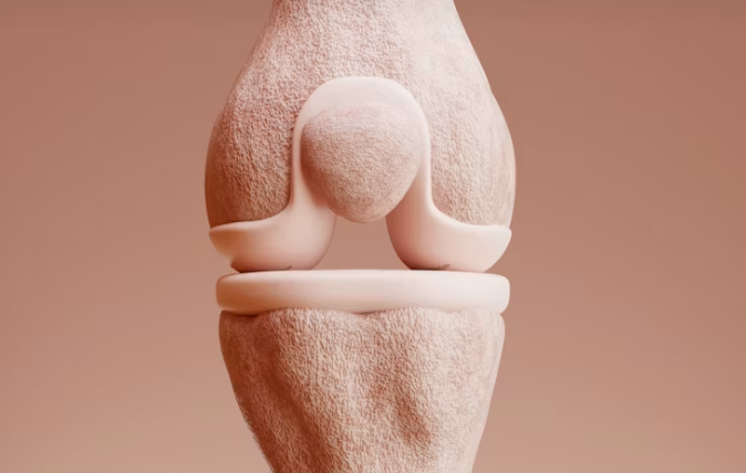 3D illustration of a knee joint in soft beige tones, showing the textured bone surfaces meeting at the joint.